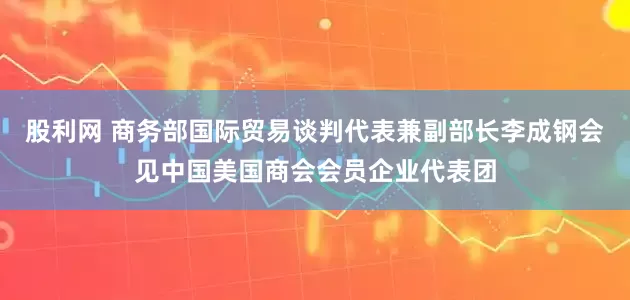 股利网 商务部国际贸易谈判代表兼副部长李成钢会见中国美国商会会员企业代表团