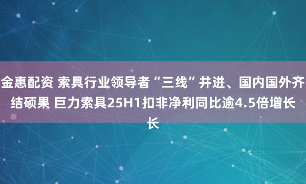 金惠配资 索具行业领导者“三线”并进、国内国外齐结硕果 巨力索具25H1扣非净利同比逾4.5倍增长