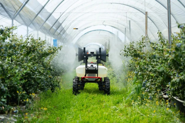 信通实盘 极飞科技副总经理钱姝婷：组建智能农机专利共享池