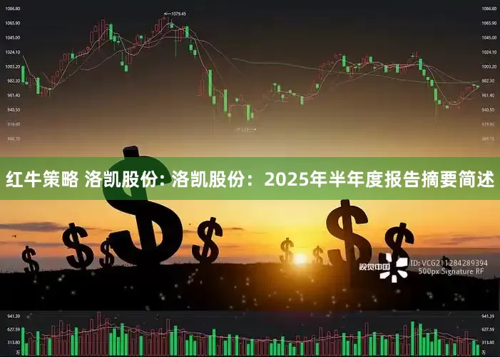 红牛策略 洛凯股份: 洛凯股份：2025年半年度报告摘要简述